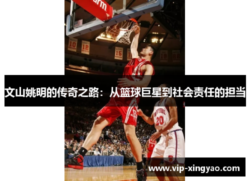 文山姚明的传奇之路：从篮球巨星到社会责任的担当
