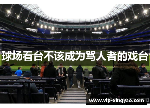 球场看台不该成为骂人者的戏台